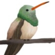 Profile picture of Diana V Dominguez